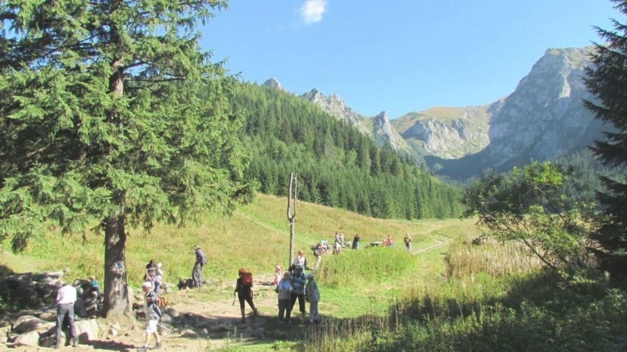 Willa Iskra Zakopane Exteriér fotografie